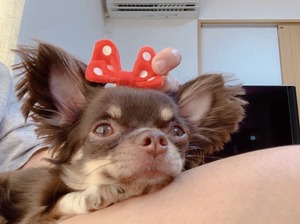 06995CCE-F542-47DF-BB3D-B4218E6A4C02.jpeg